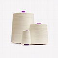  100% polyester industrial bag closing sewing thread silicone oil for automatic  1