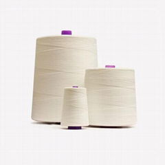  100% polyester industrial bag closing sewing thread silicone oil for automatic 