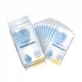 Disinfecting Wet Wipes (1 PC) 3