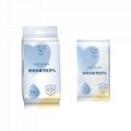 Disinfecting Wet Wipes (1 PC) 2