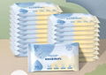 Disinfecting Wet Wipes (10 PCS)