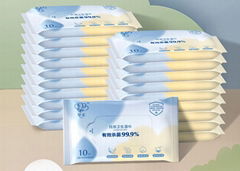 Disinfecting Wet Wipes (10 PCS)