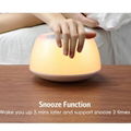 Bedroom bedside night light alarm clock