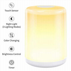 Middle size high brightness bedroom nightstand bedside lamp with timer funciton