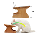 定制天然松木 15 度倾斜别致设计高架猫碗带支架 3