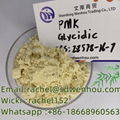 PMK ethyl glycidate 1