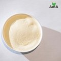 Hydrolysis Amino Acid 80 Powder Organic Fertilizer