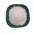 BMK Glycidic Acid (sodium salt) cas 5449-12-7 bmk