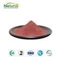 Red Yeast Rice Extract Powder 1