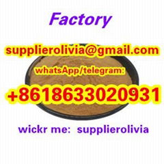 USA EU Warehouse Factory Wholesale Warehouse Delivery PMK CAS No. 52190-28-0