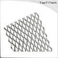 Titanium Mesh