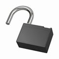 BioLock P70 Smart Padlock (heavy duty type) 5