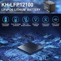 12V 100ah Deep Cycle Power Lifepo4 Lithium Ion Battery Packs for RV Solar System 4