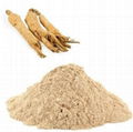 American Ginseng Extract 1