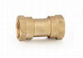 Brass Check Valve