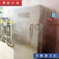 櫃式液氮速凍機/博能低溫速凍櫃 4