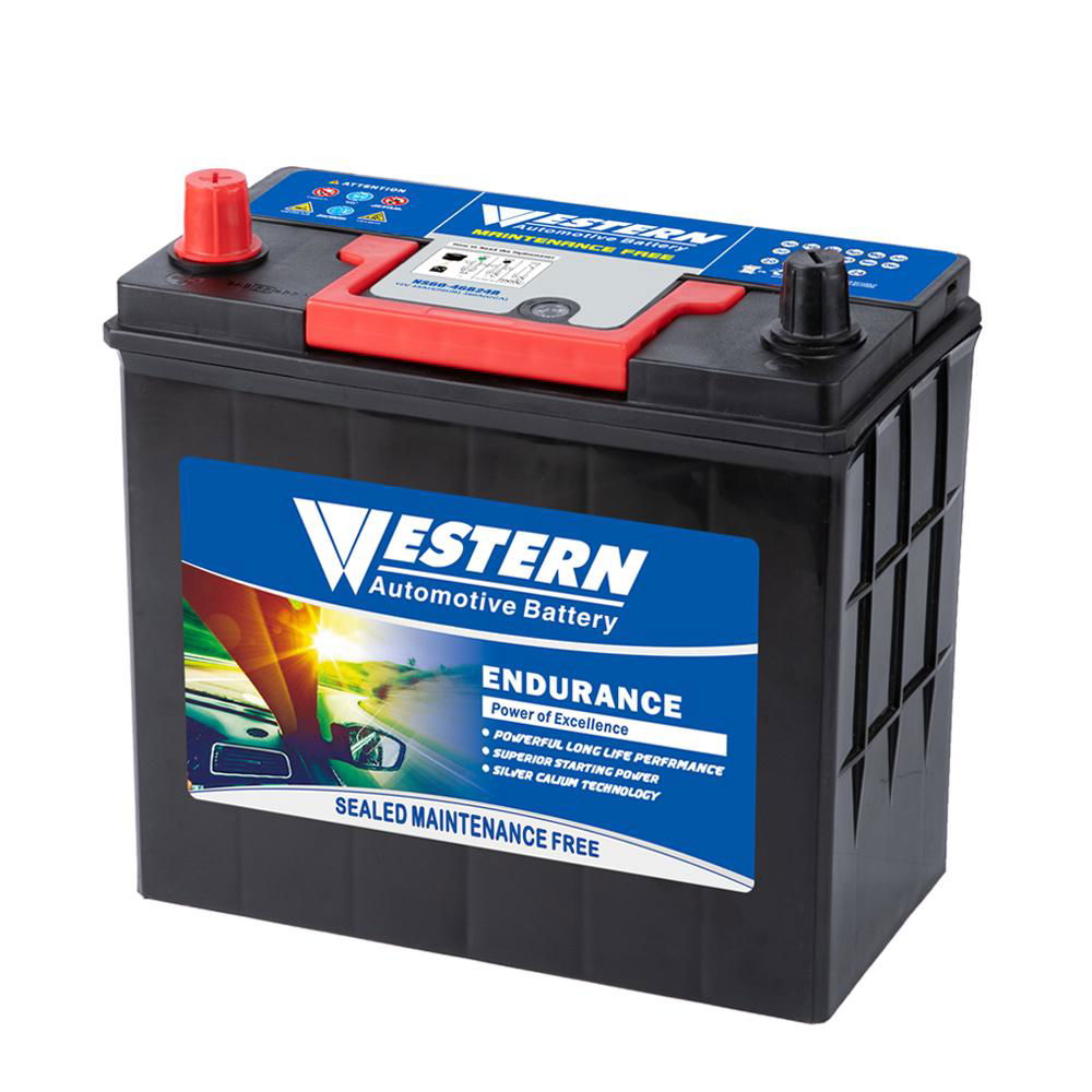 Lead-Acid Storage Mf Automobile Car Starter Battery  3