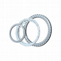 Customized Slewing Bearing