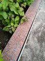 Red Polished Surface Curbstone