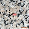 Own Quarry G563 Red Granite Polishing