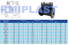 PVC CPVC PVDF PP Check Valve