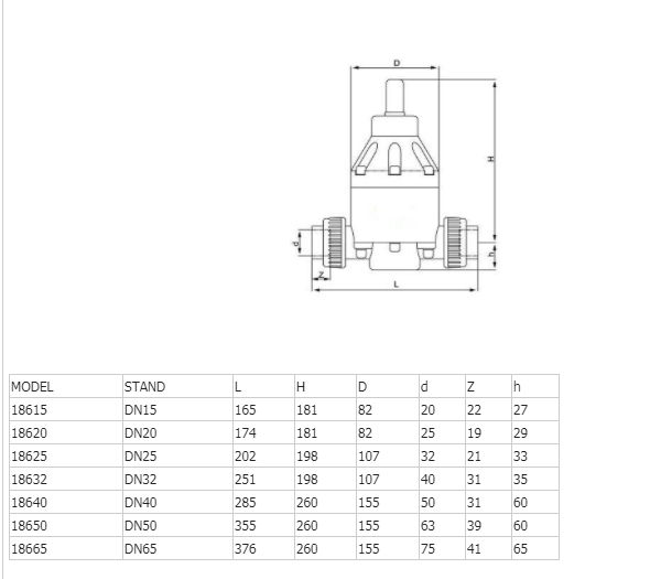 PVC CPVC PVDF PP Safety Valve 2