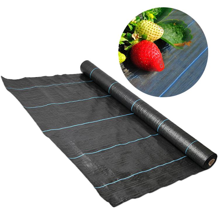 Dark Weed-Barrier Fabric Agricultural Plastic Ground Cover