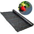 Dark Weed-Barrier Fabric Agricultural Plastic Ground Cover