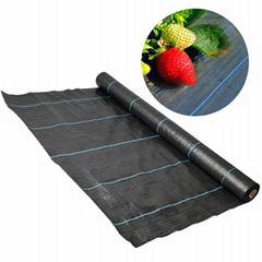 Dark Weed-Barrier Fabric Agricultural Plastic Ground Cover