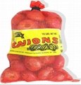25 Large Mesh Drawstring Produce Bags/Mesh Produce Bags for Onions Corn Potatoes