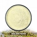 Mung Bean Protein, CAS No.: 100209-45-8 1