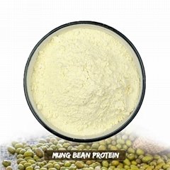 Mung Bean Protein, CAS No.: 100209-45-8