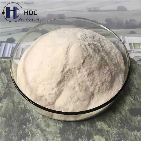 Fungal Chitosan, CAS No.: 9012-76-4