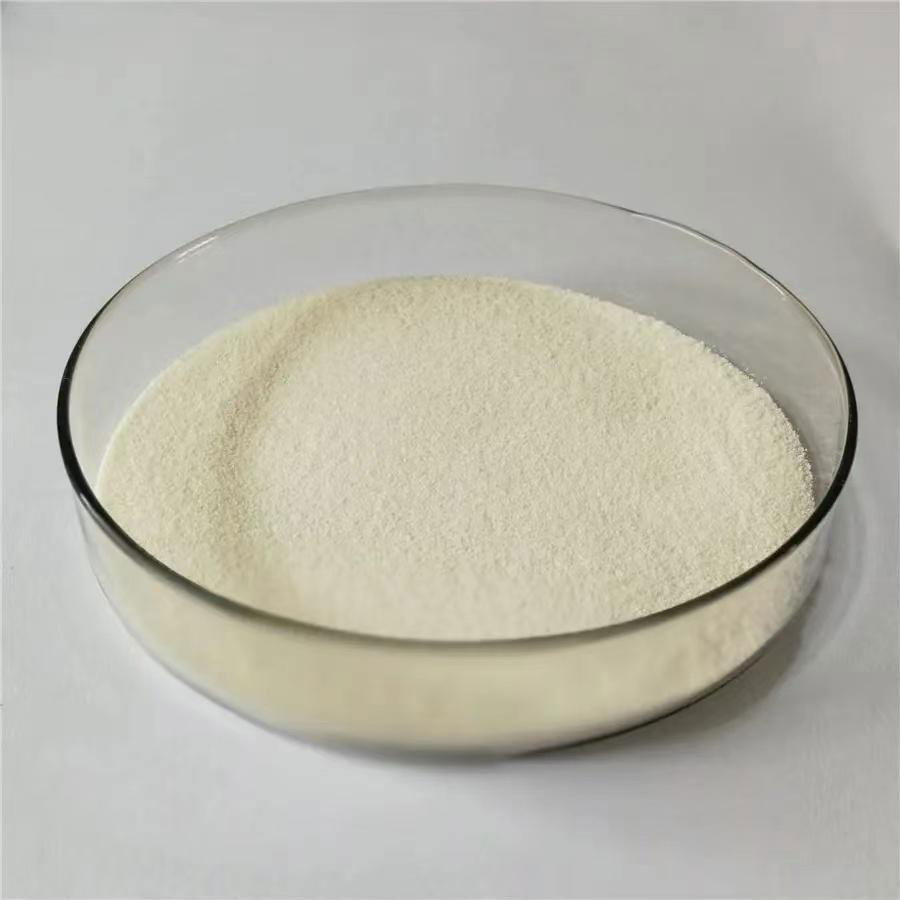 Fungal Chitosan, CAS No.: 9012-76-4 2