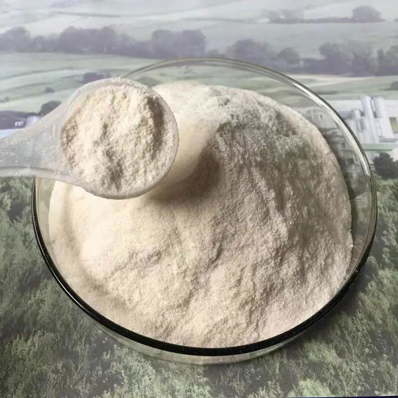 Fungal Chitosan, CAS No.: 9012-76-4 3