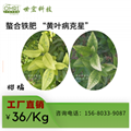 EDDHA-Fe 6% Highly Concentrated Chelated Iron Fertilizer 4.8 Water-Soluble Organ 3
