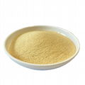 80% Hydrolyzed Amino Acid Powder China