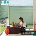 Honeycomb Blinds 1