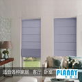 Roman Blind