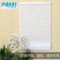 Roman Blind