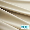 smooth Fabric curtain 2