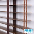 Blinds Curtain