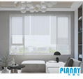 Blinds Curtain 16