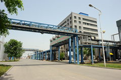 Healtang Biotech Co.,Ltd.