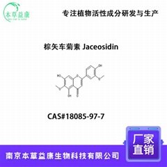 棕矢车菊素 Jaceosidin