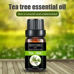  Tea tree oil