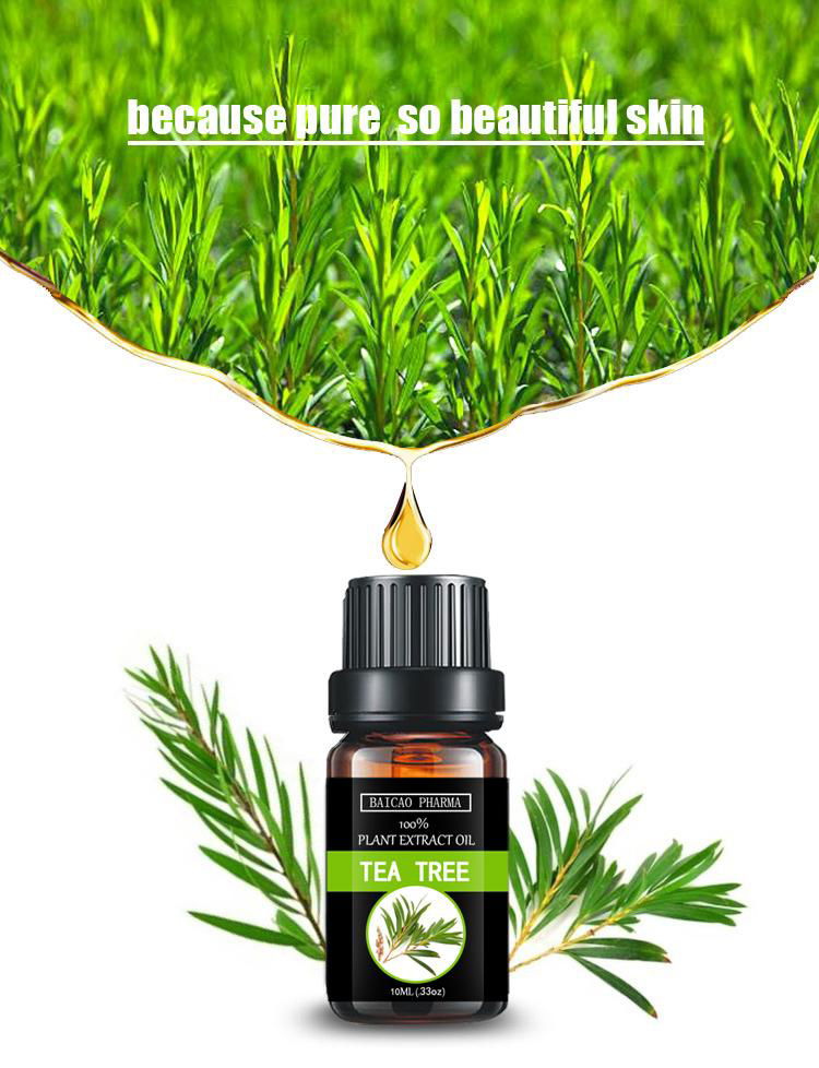  Tea tree oil 3