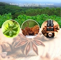  Star anise oil 3