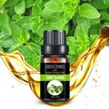  Oregano oil 4