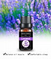 Lavender oil